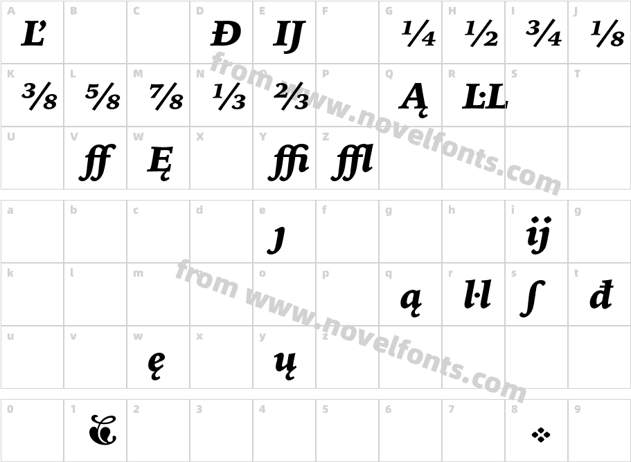 IowanOldStyleBT-BlackItExtensionCharacter Map