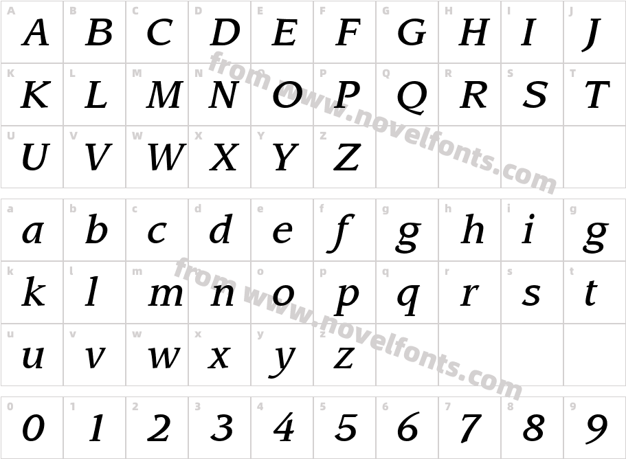 Advisor MediumS Si ItalicCharacter Map