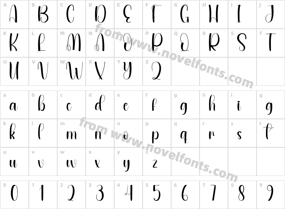 Competence RegularCharacter Map