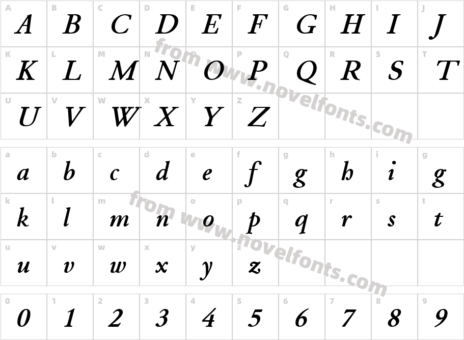 Junius Standard Bold ItalicCharacter Map