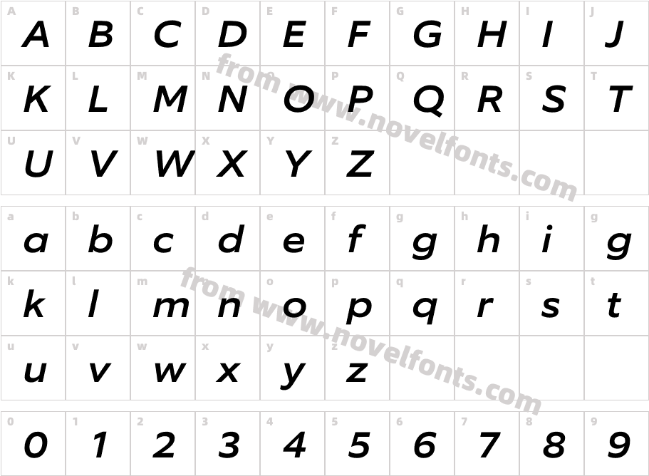 Equip Extended Medium ItalicCharacter Map
