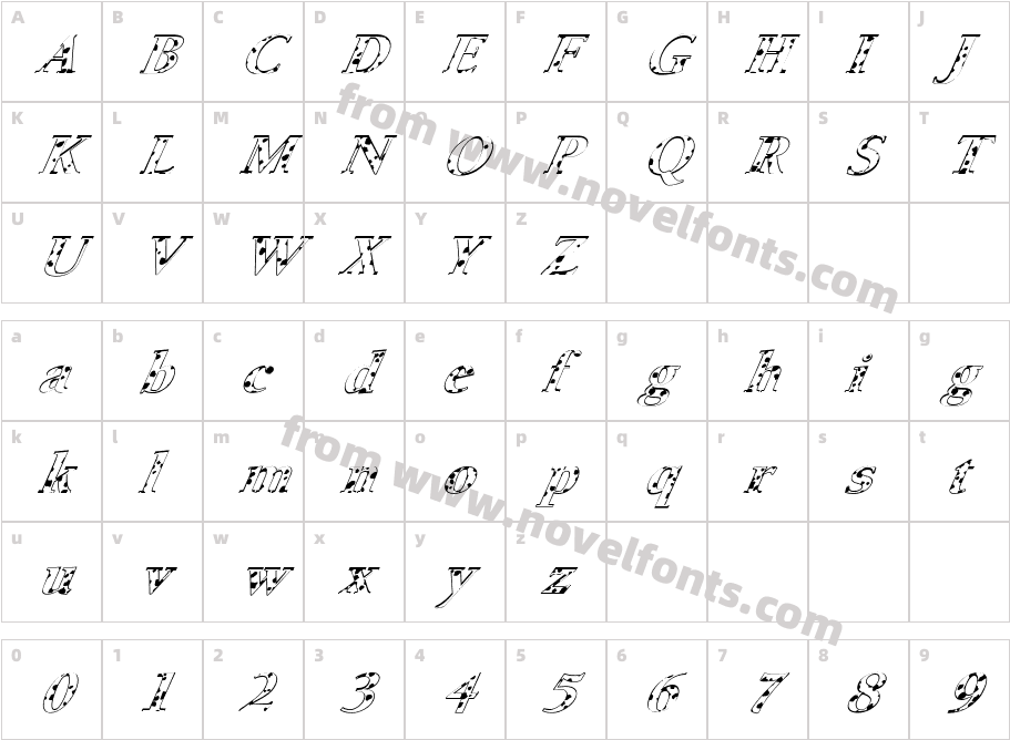 FZ ROMAN 24 SPOTTED ITALICCharacter Map