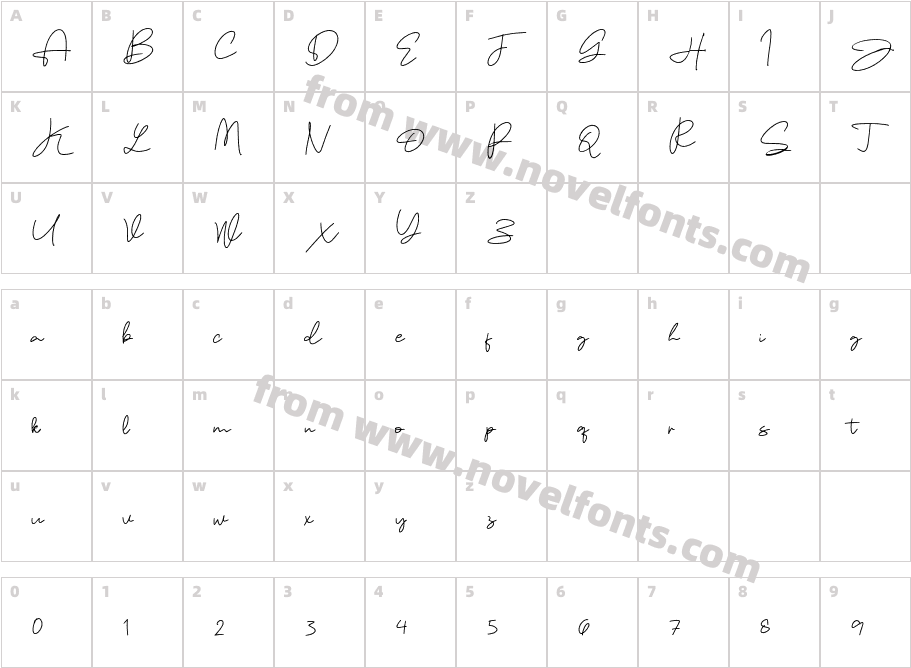Flisma Signature RegularCharacter Map