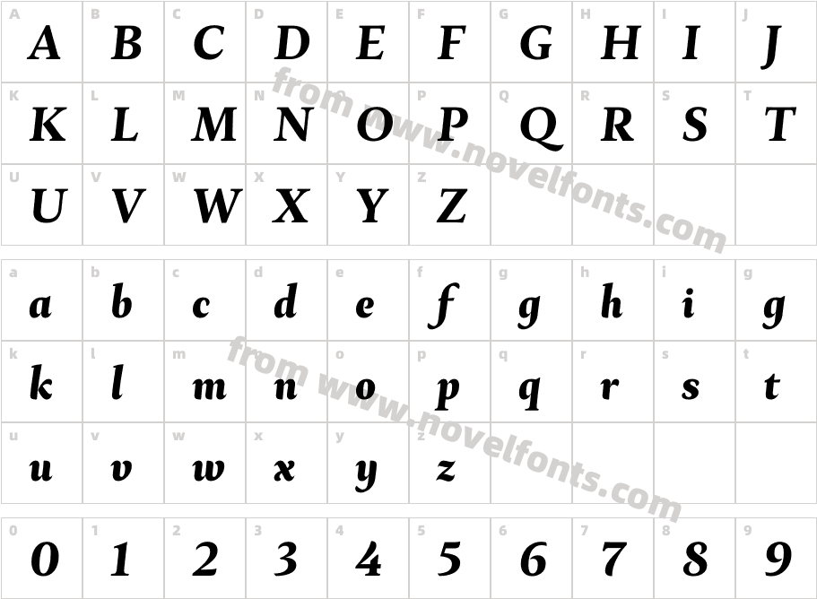 Ines Extra Bold ItalicCharacter Map