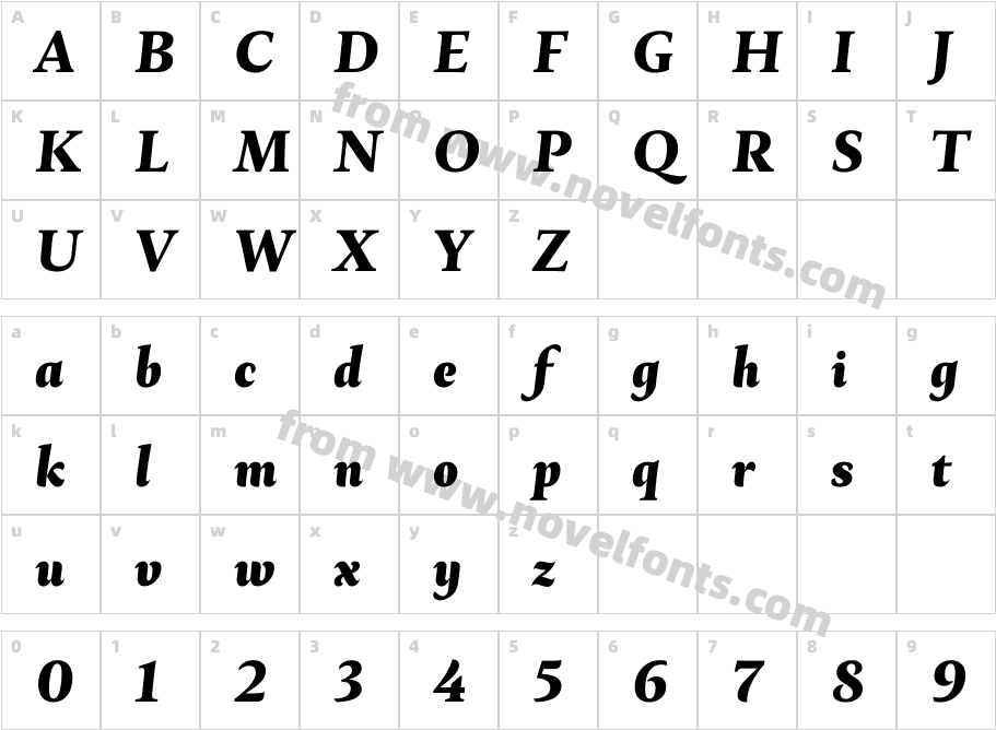 Ines Heavy ItalicCharacter Map