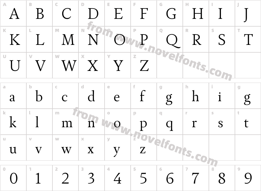 Ines LightCharacter Map