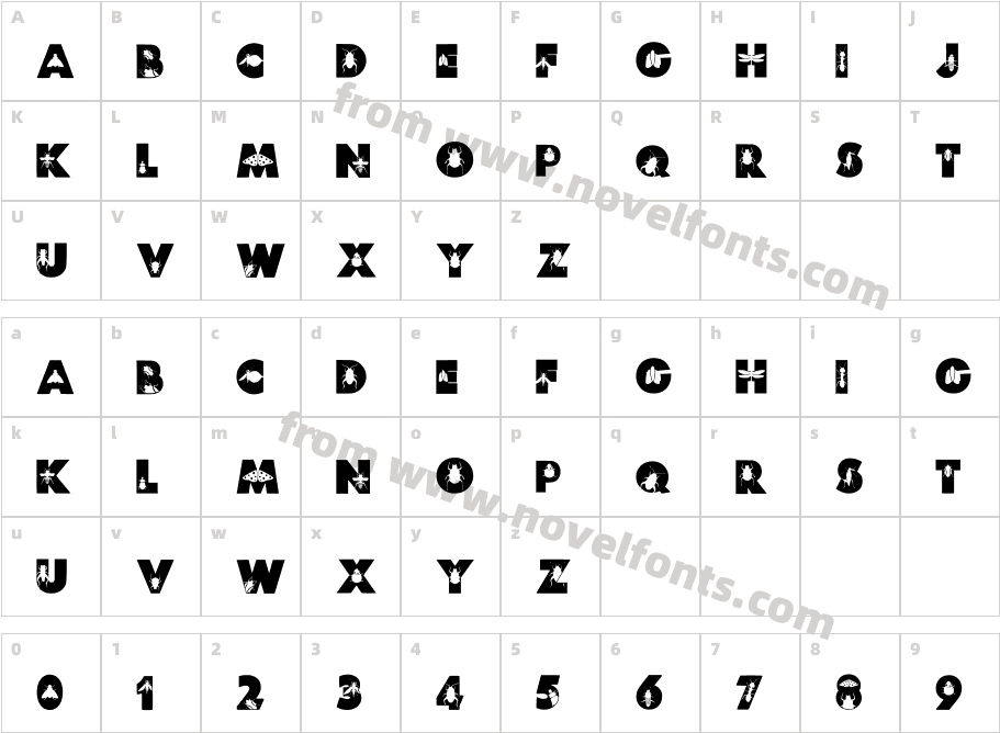 Insect Az Solid RegularCharacter Map