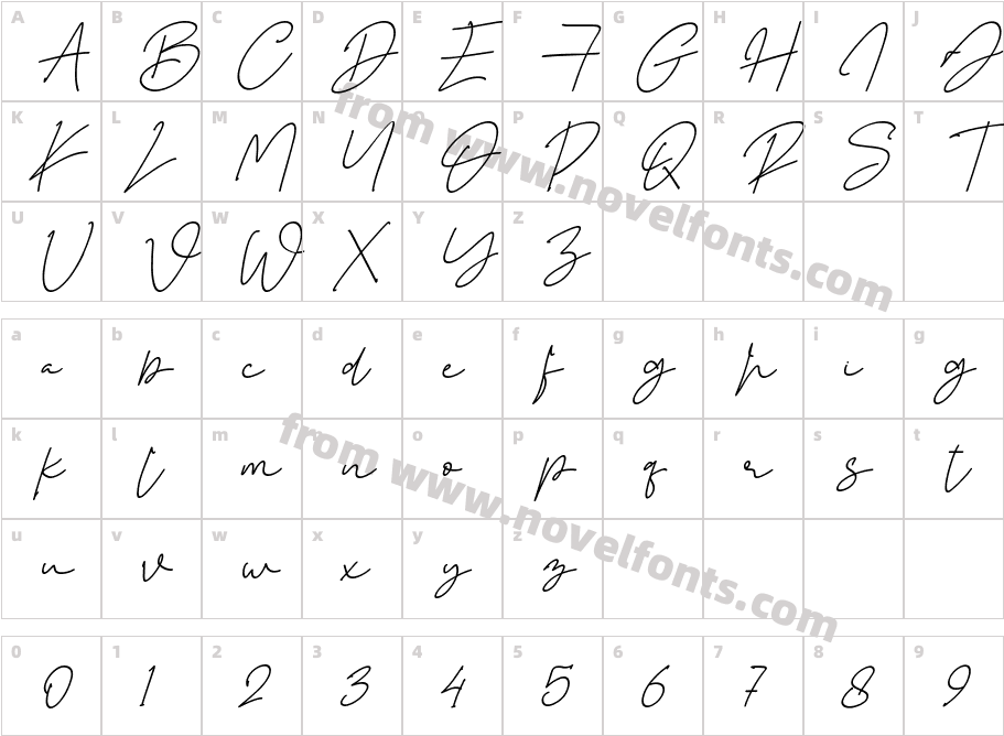 Istanbul Arena Italic Persona ItalicCharacter Map