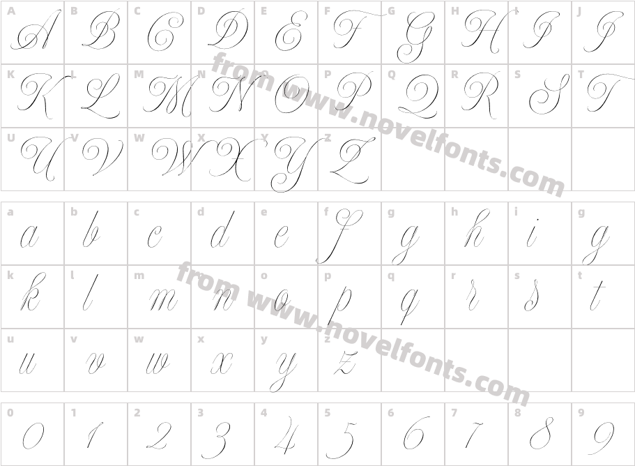 Model Standard OneCharacter Map