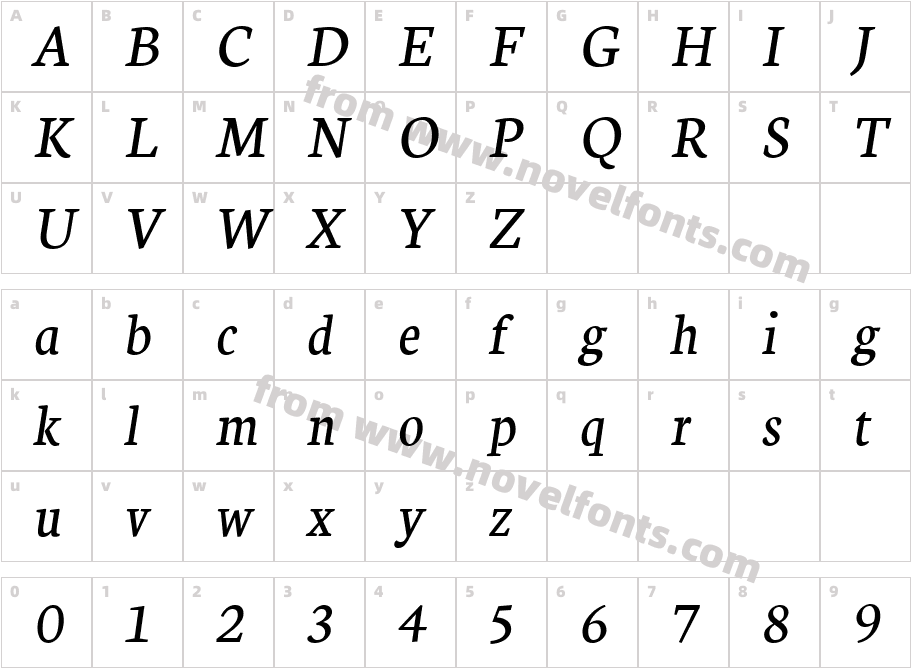 Neuton ItalicCharacter Map