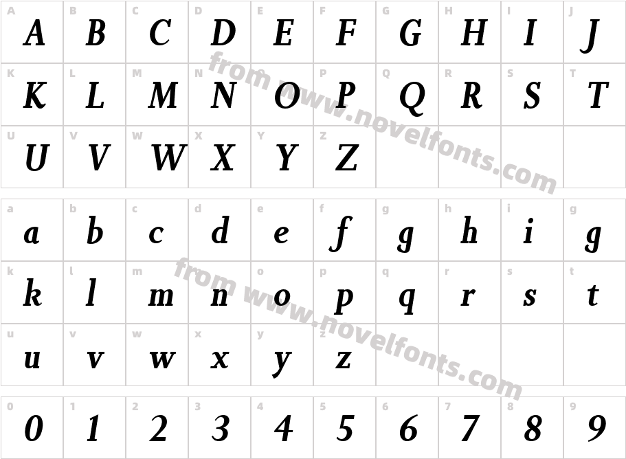 Non Solus Bold ItalicCharacter Map