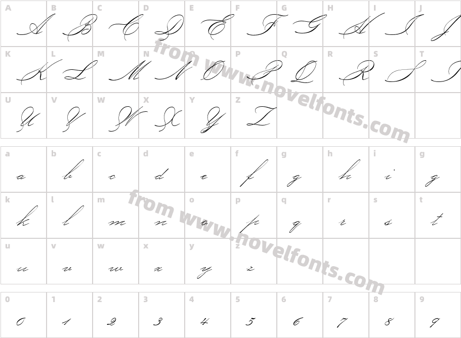 P22 Allyson ProCharacter Map