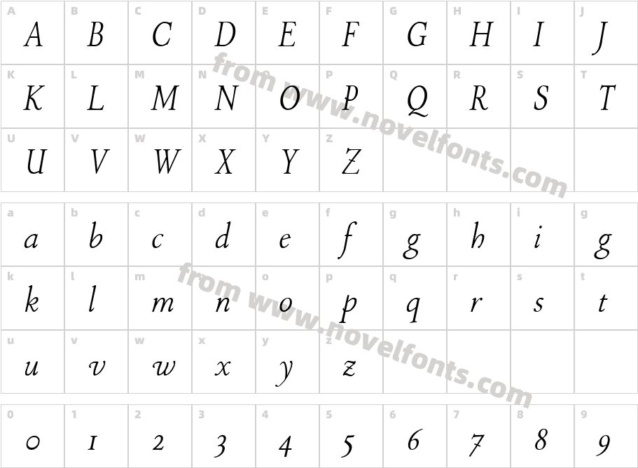 P22 Stickley Pro Display ItalicCharacter Map