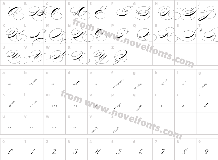 P22 Zaner OneCharacter Map