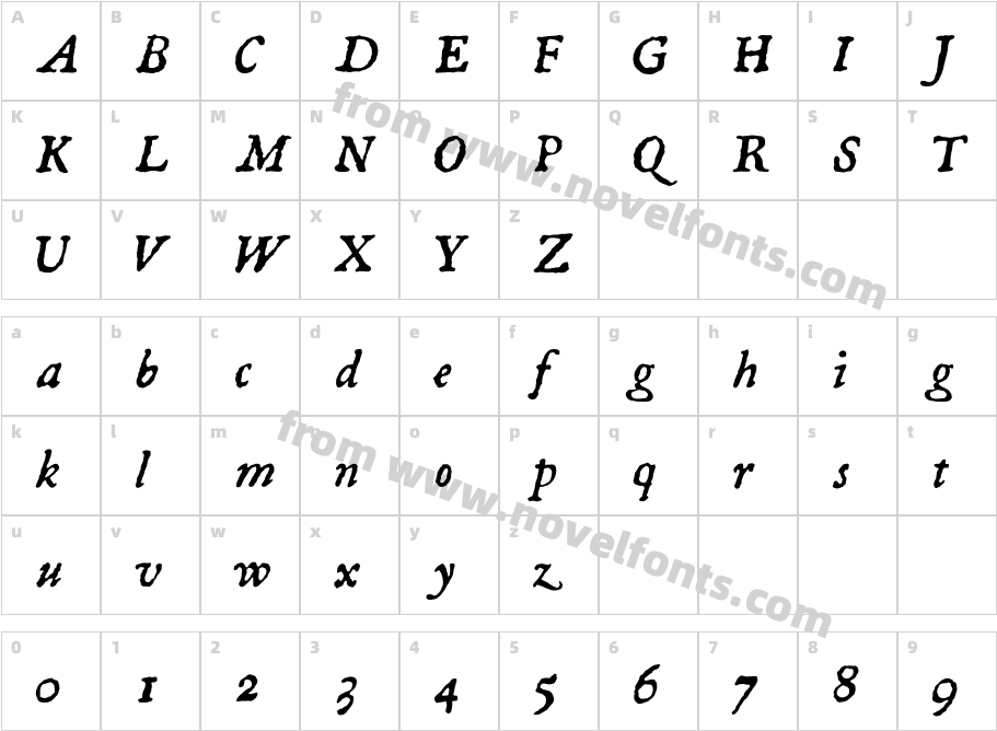 P221722 ItalicCharacter Map