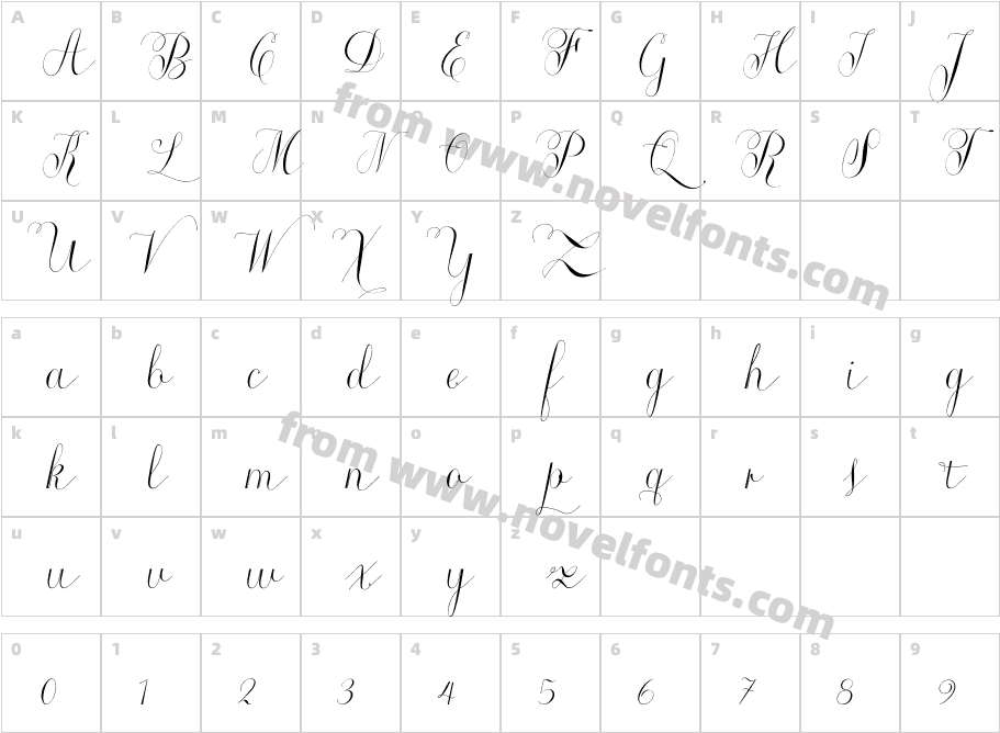 Roicamonta Curly ItalicCharacter Map