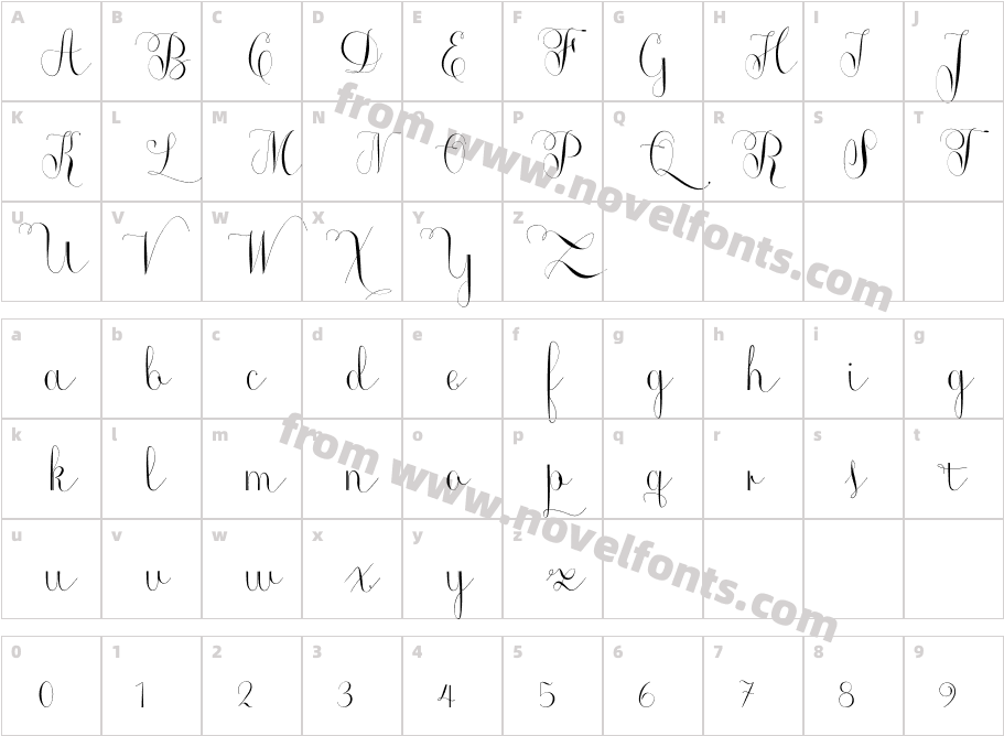 Roicamonta CurlyCharacter Map