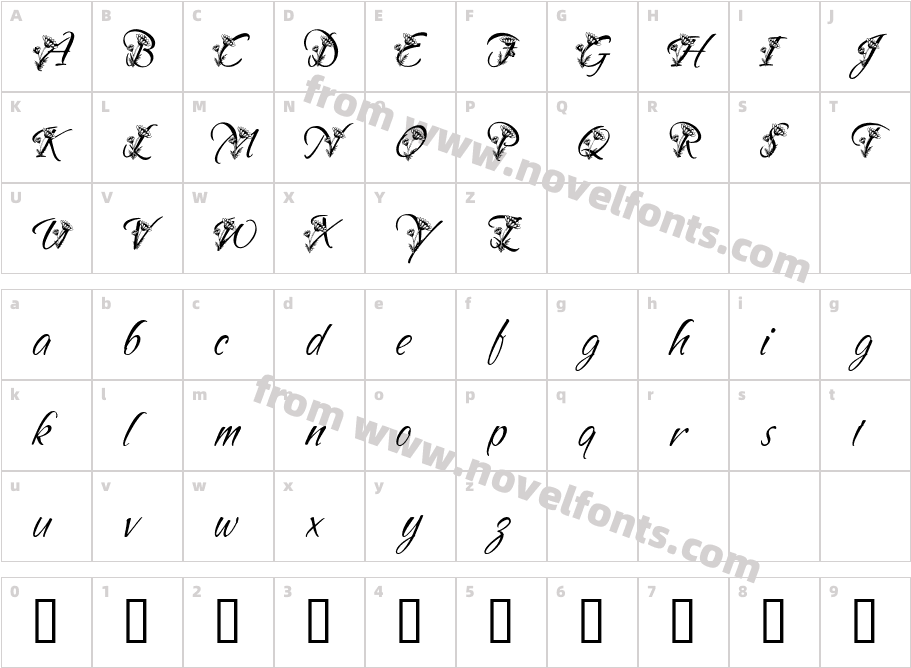Sand Daisy.5Character Map