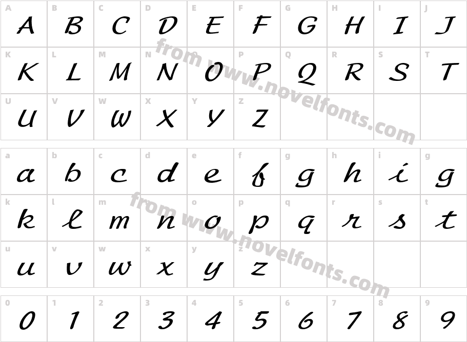 Script Mono Extended ItalicSWFTECharacter Map