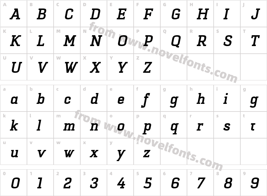 Selektor Slab Bold ItlaicCharacter Map