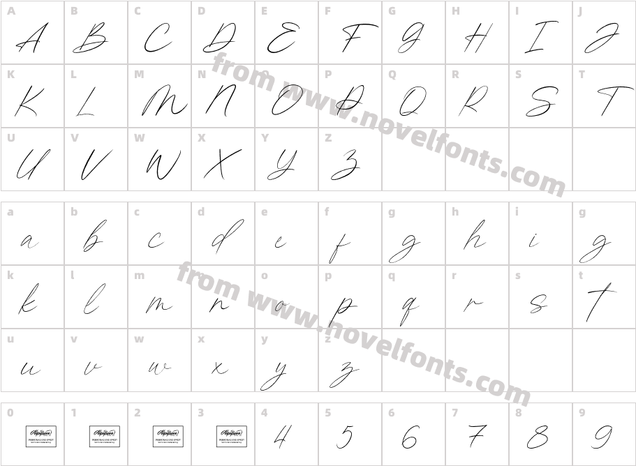 Kingston SignatureCharacter Map