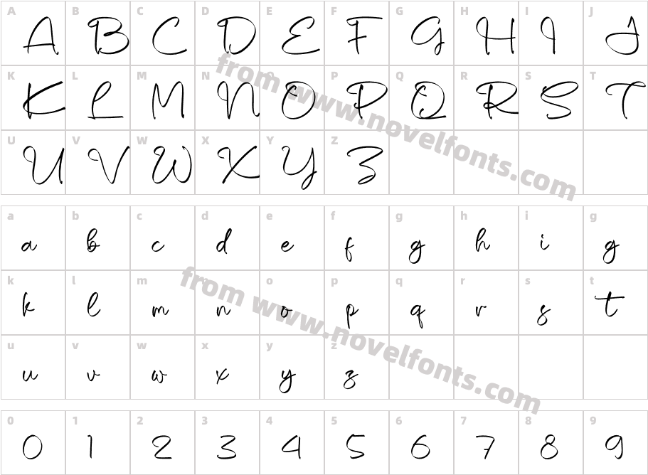 Shaquetta TorellyCharacter Map