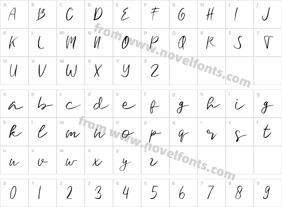 Signature Brush RegularCharacter Map