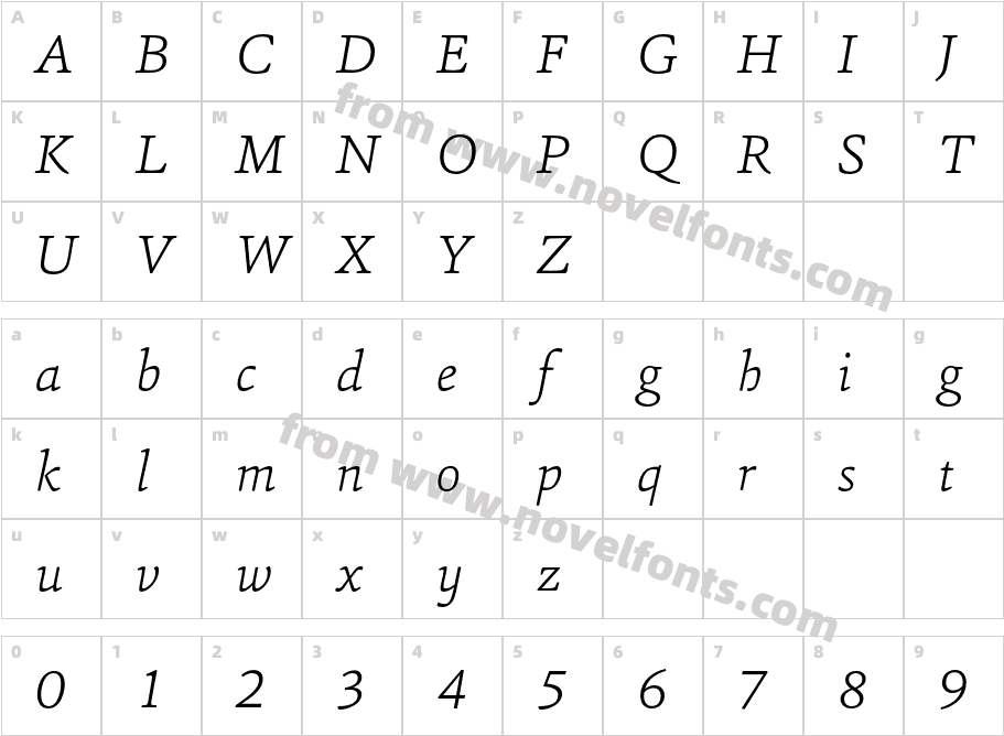 Sina Extra Light ItalicCharacter Map
