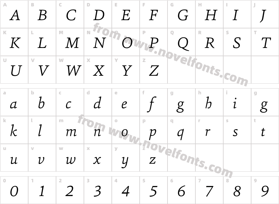 Sina Light ItalicCharacter Map