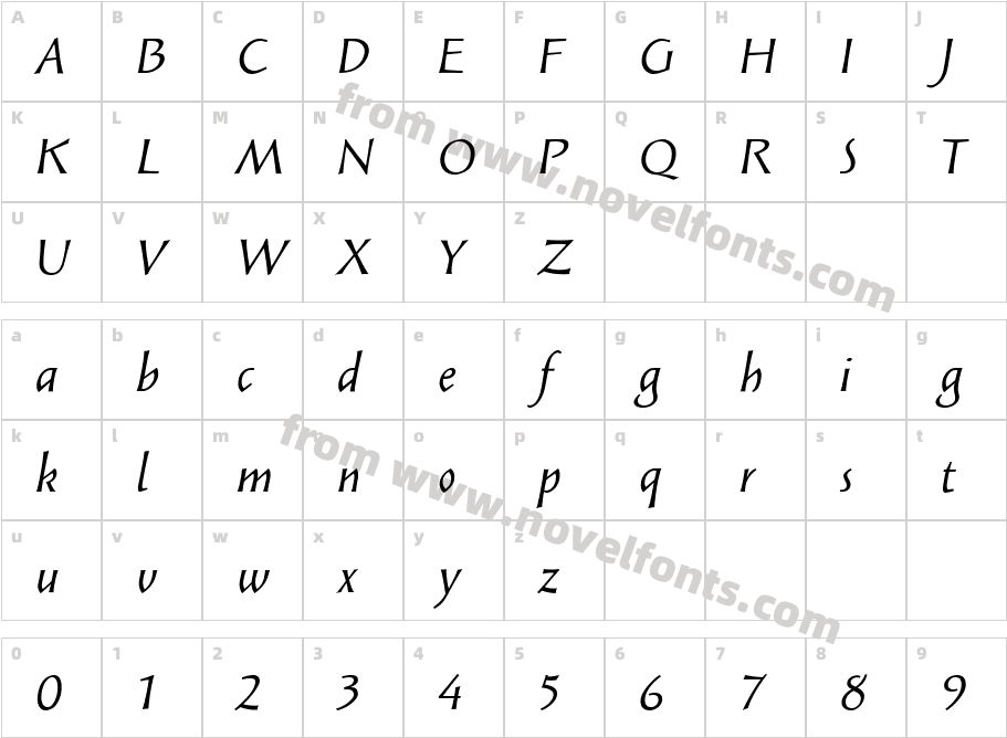Solveig Text ItalicCharacter Map