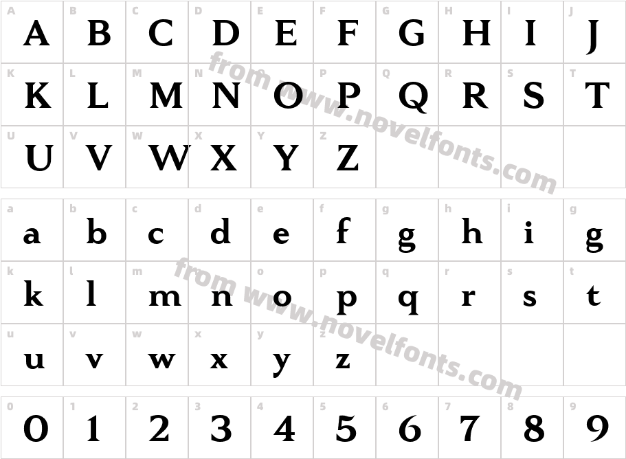 Tautz Regular 4Character Map