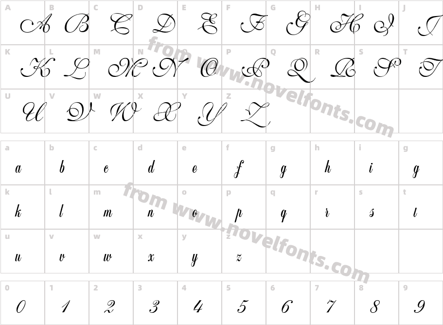 Wedding Script BailCharacter Map