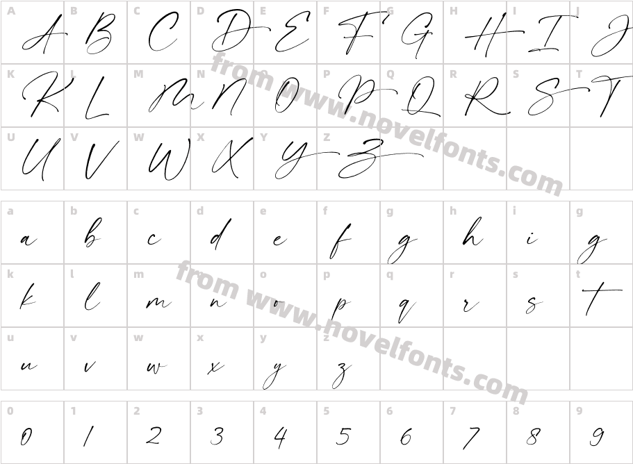 donitta Personal UseCharacter Map