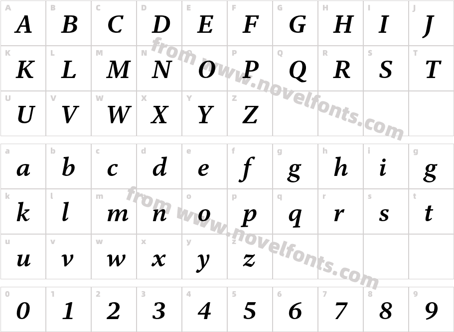 Adobe Clean Serif Bold ItalicCharacter Map