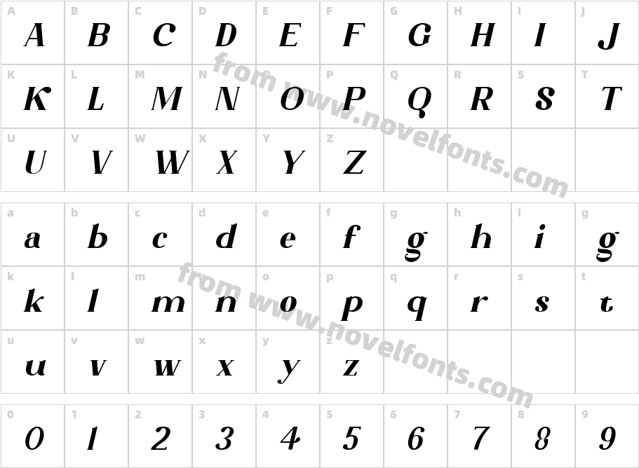 Alegvierk ItalicCharacter Map