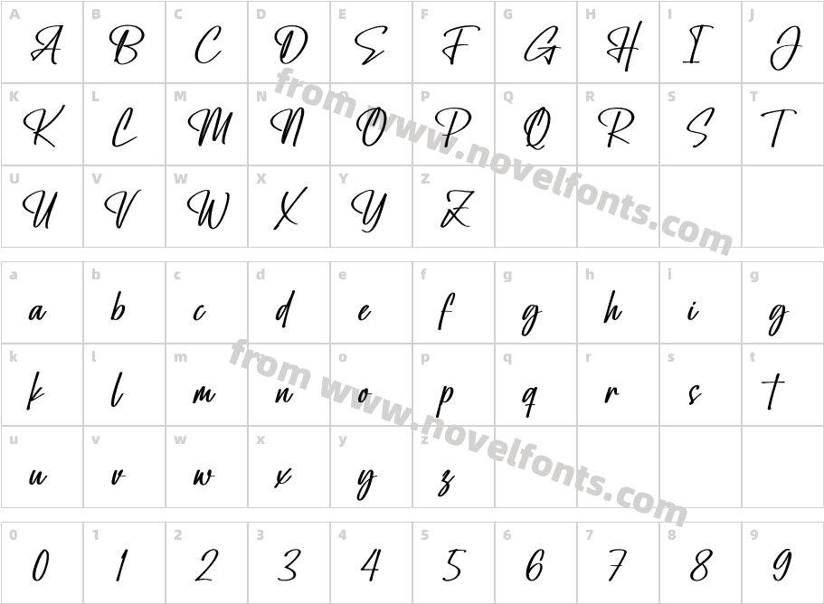 Amity Signature BoldCharacter Map