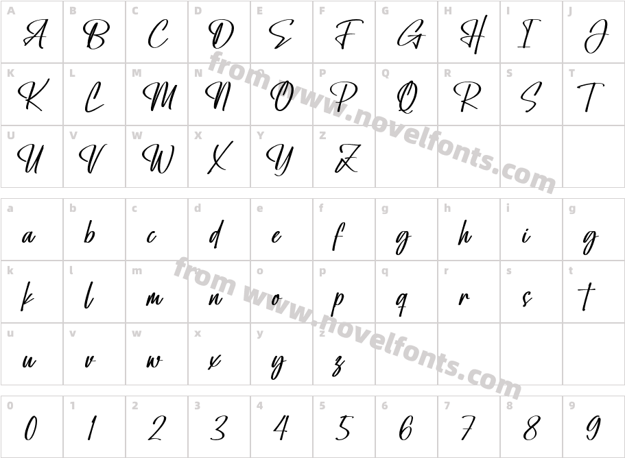 Amity Signature BoldCharacter Map