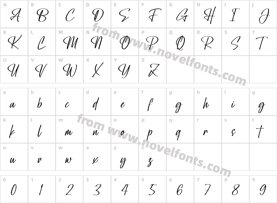 Amity Signature MediumCharacter Map