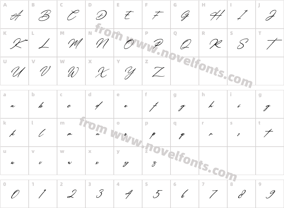 Amsterdam Signature ItalicCharacter Map