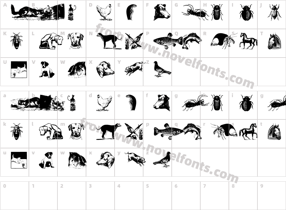 Animals OldfashionCharacter Map