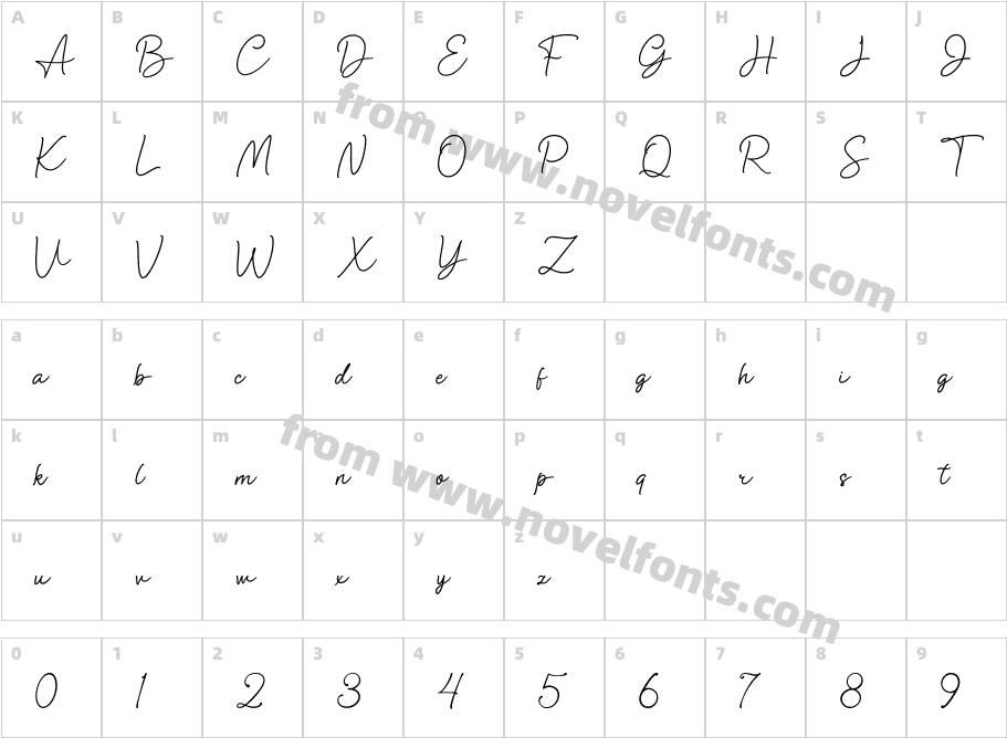 Anisa SignatureCharacter Map