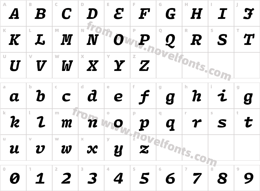 Array Mono Black ItalicCharacter Map