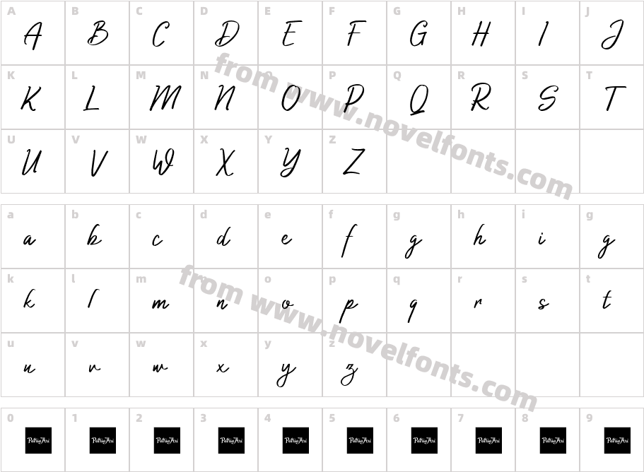 Authorized Signature RegularCharacter Map