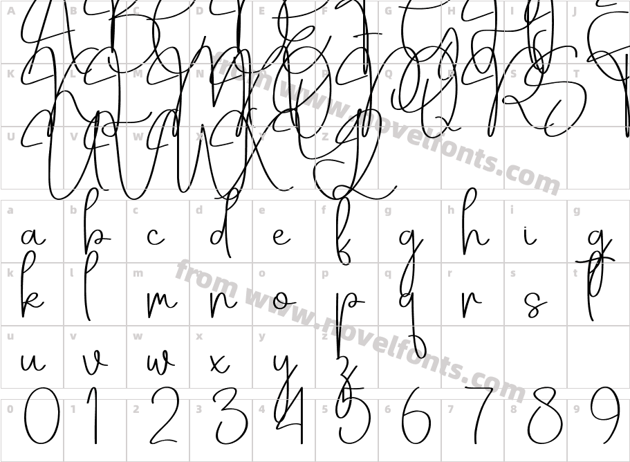 Automatic RegularCharacter Map