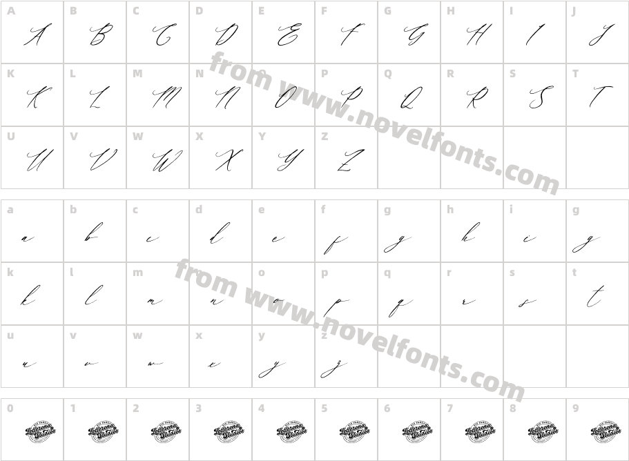 Baiden Amelie DEMO VERSION ItalicCharacter Map