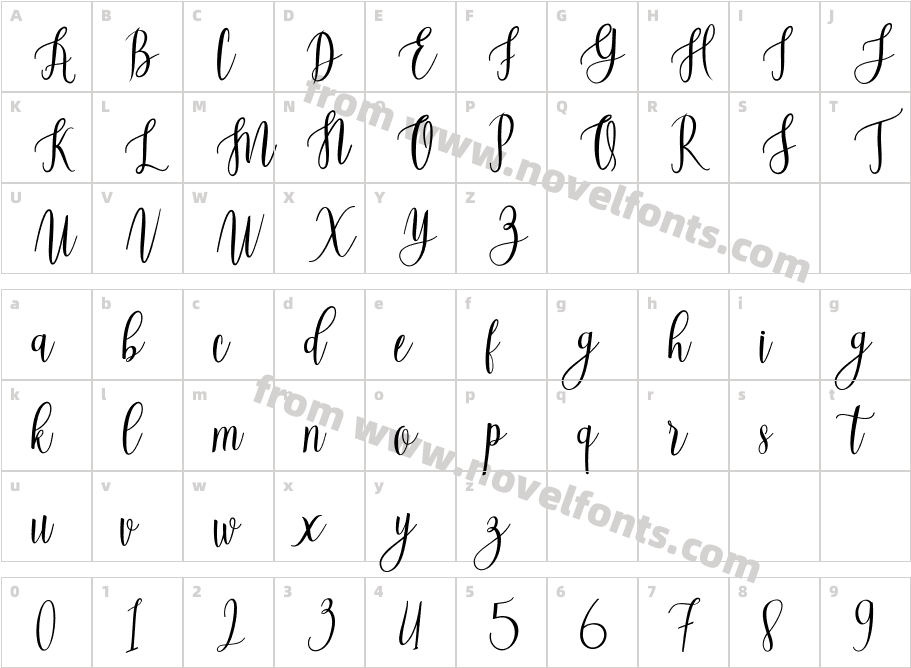 Beautiful Script LightCharacter Map