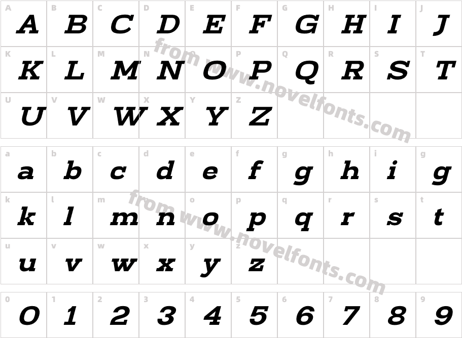 Bidamo ItalicCharacter Map