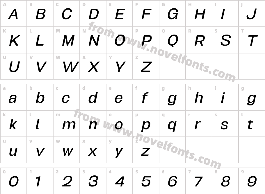 Biggan Pro Light ObliqueCharacter Map