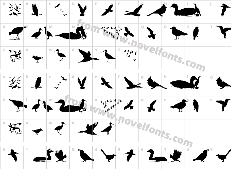 Birds And FriendsCharacter Map