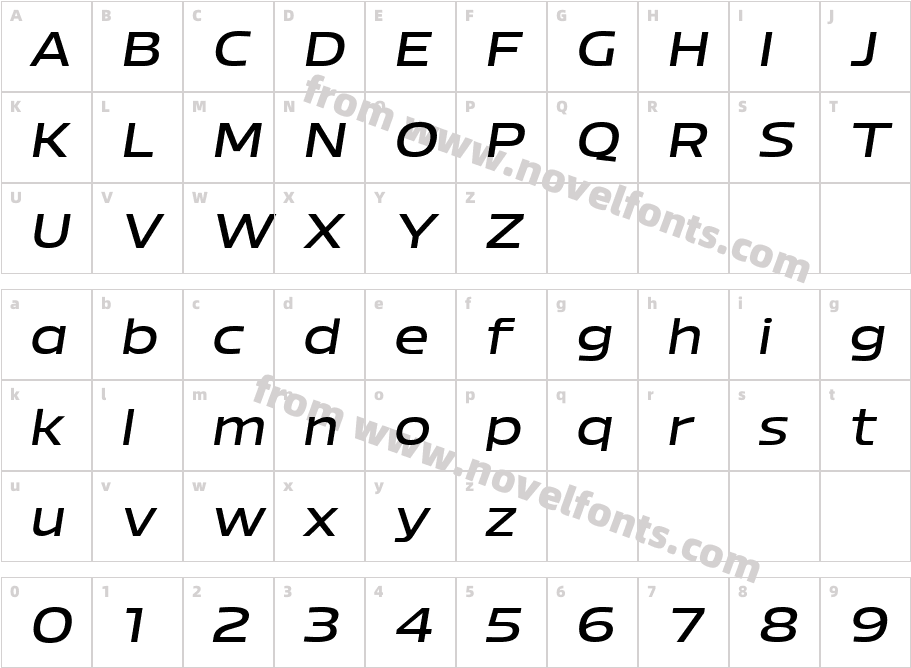 Bizmo Medium ObliqueCharacter Map
